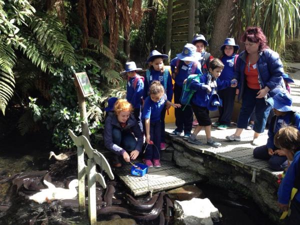 feeding eels with school kids